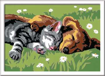 CreArt: Paint-By-Number Sleeping Cat and Dog 5x7