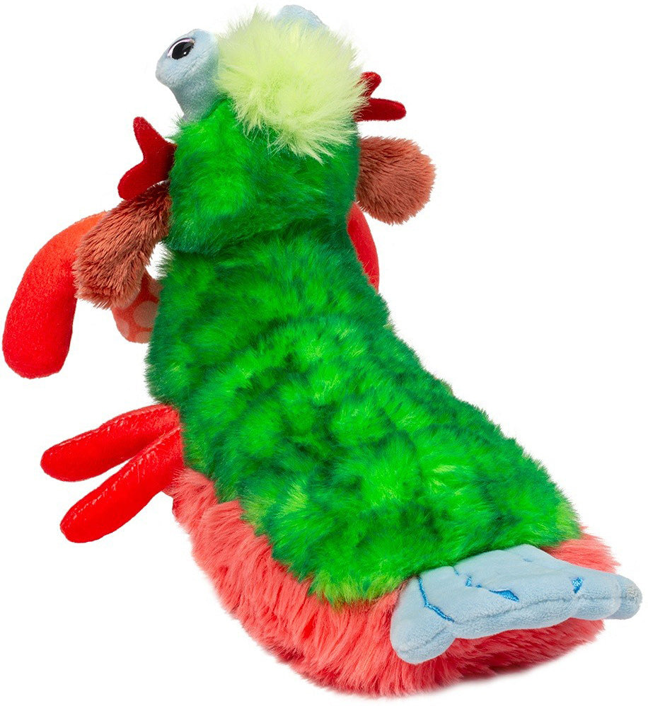 Punchie Peacock Mantis Shrimp