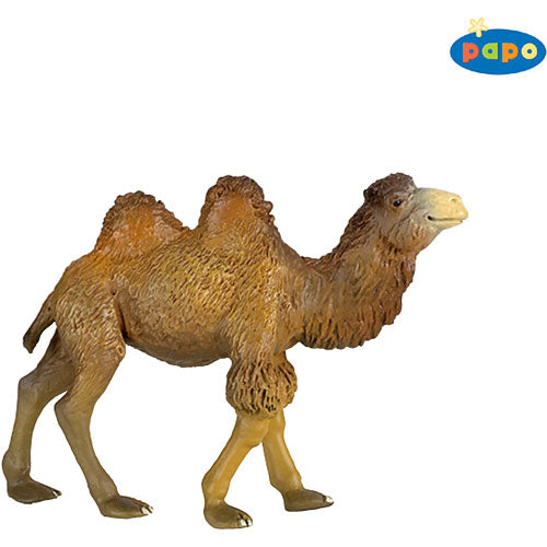 Camel The Toy Maven