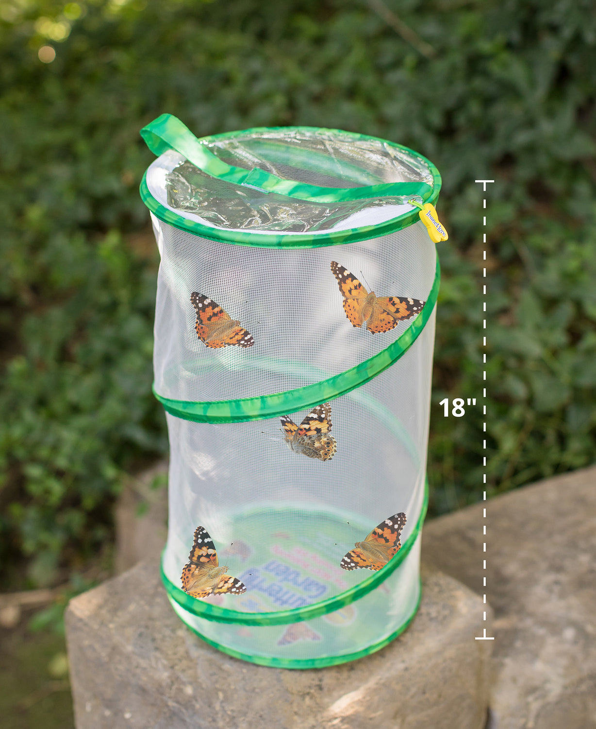 Giant Butterfly Garden with Life Cycle Figurines