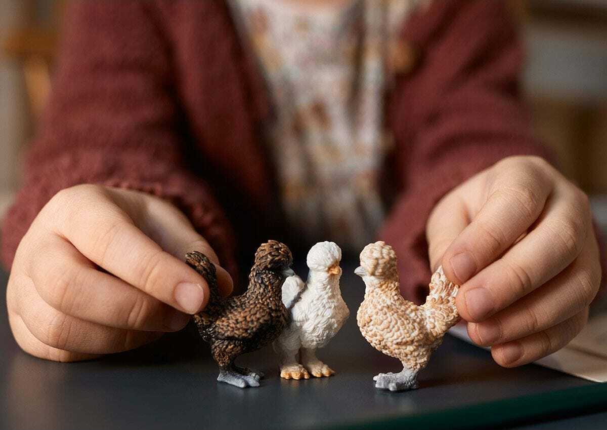 Chicken Friends