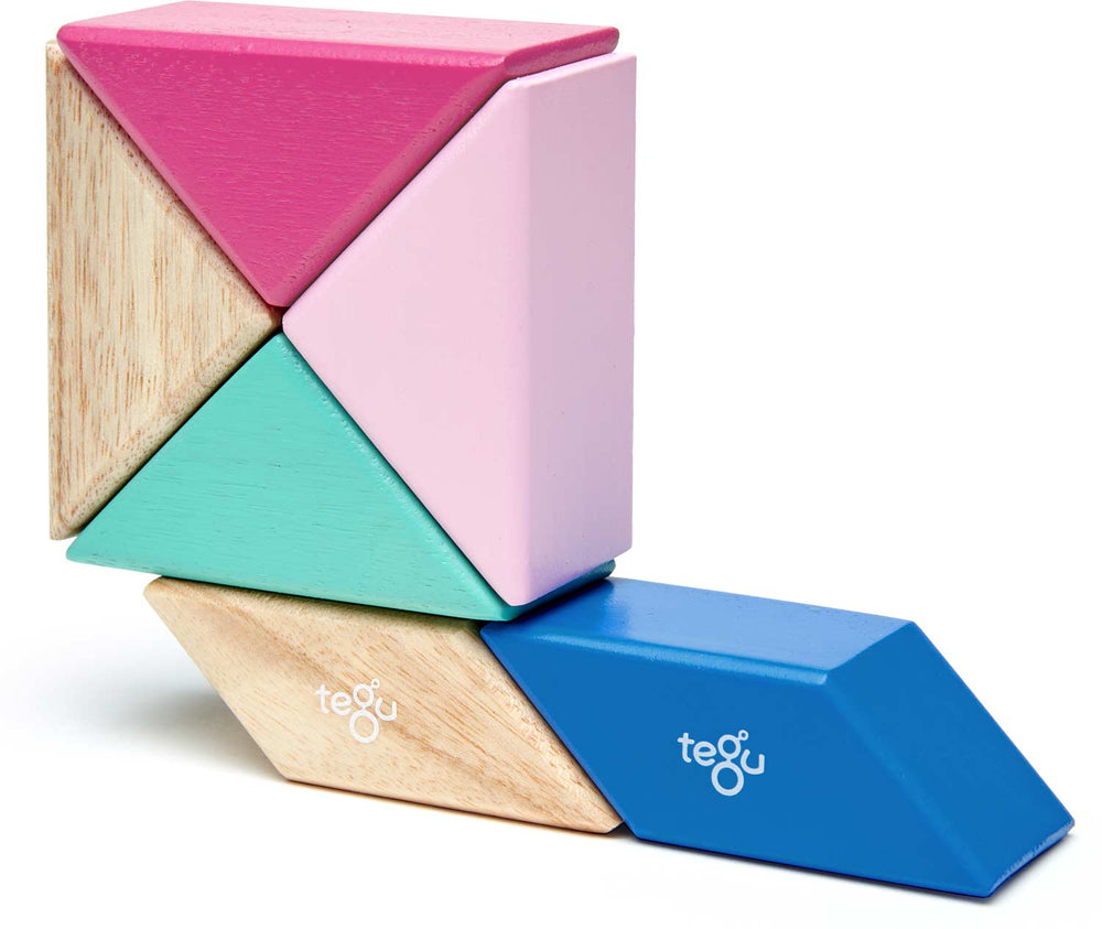 Tegu Pocket Pouch Prism Magnetic Wooden Block Set, BLOSSOM - 6 Piece
