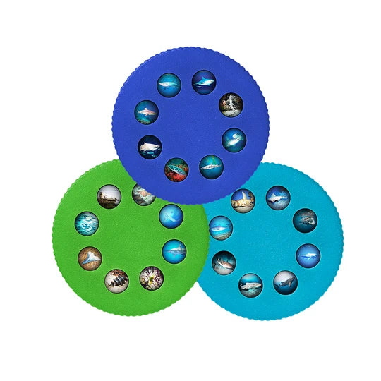 Wonder Lights: Sharks - Educational Flashlight Projector
