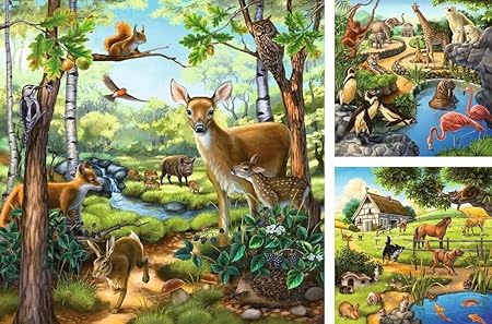 Forest/Zoo/Domestic Anim. 3x49 Pc Puzzle