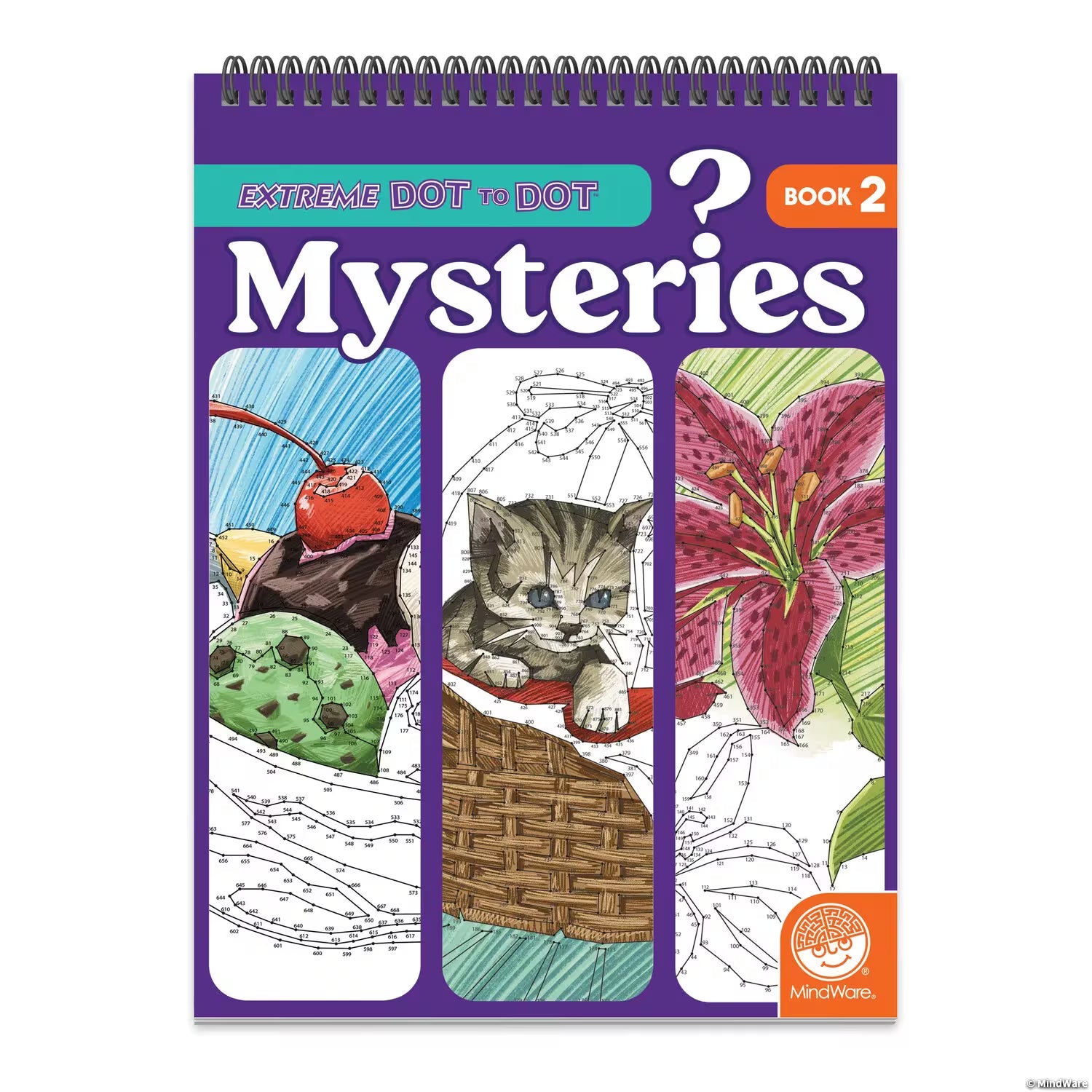 Extreme Dot to Dot: Mysteries Book 2