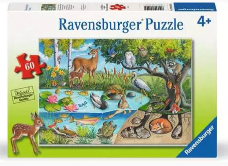 Animals Above and Below 60 Pc Puzzle