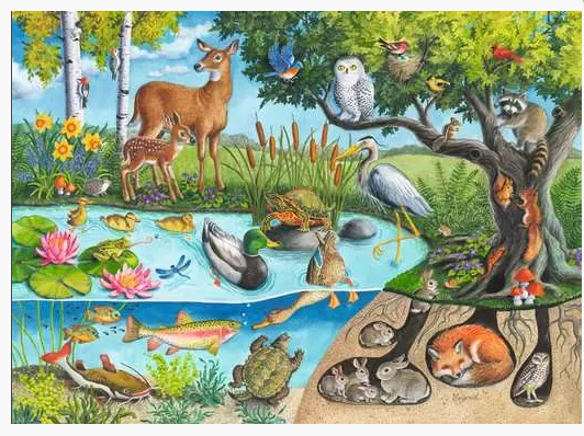 Animals Above and Below 60 Pc Puzzle