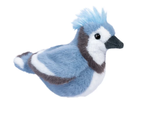 Denim Blue Jay