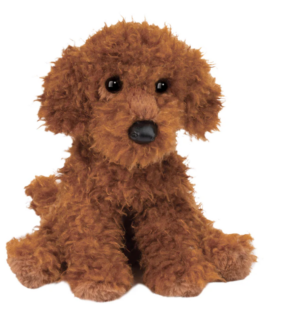 Ginger Miniature Poodle