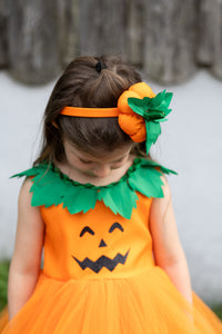 Pumpkin Patch Princess Dress (Size 3-4)