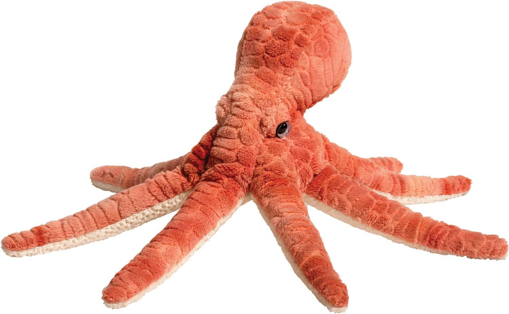 Spiney Octopus