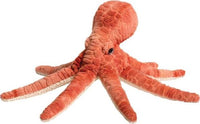 Spiney Octopus