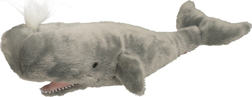 Splash Sperm Whale