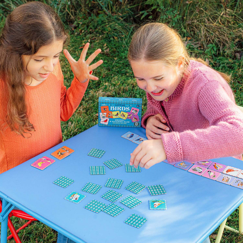 Birds (little memory & matching game)