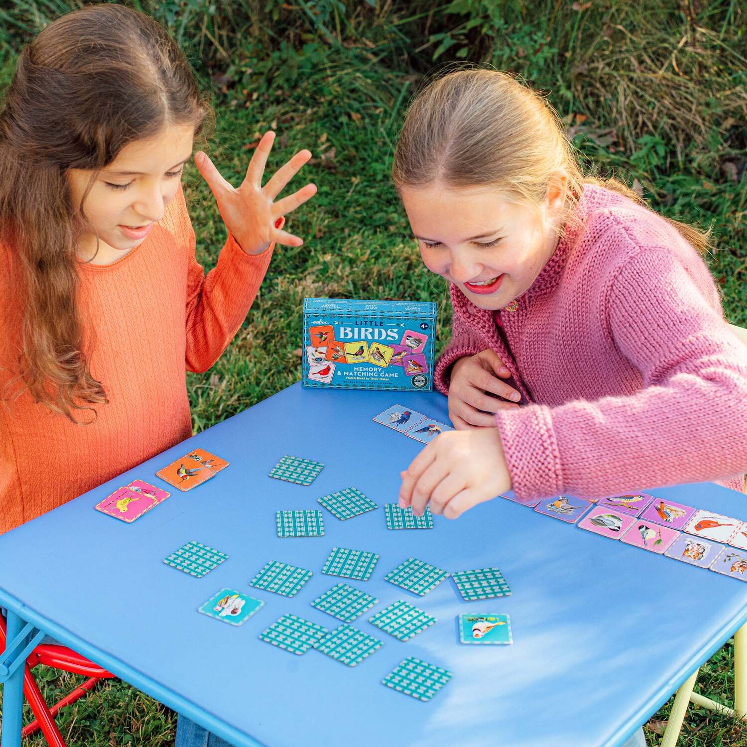 Birds (little memory & matching game)
