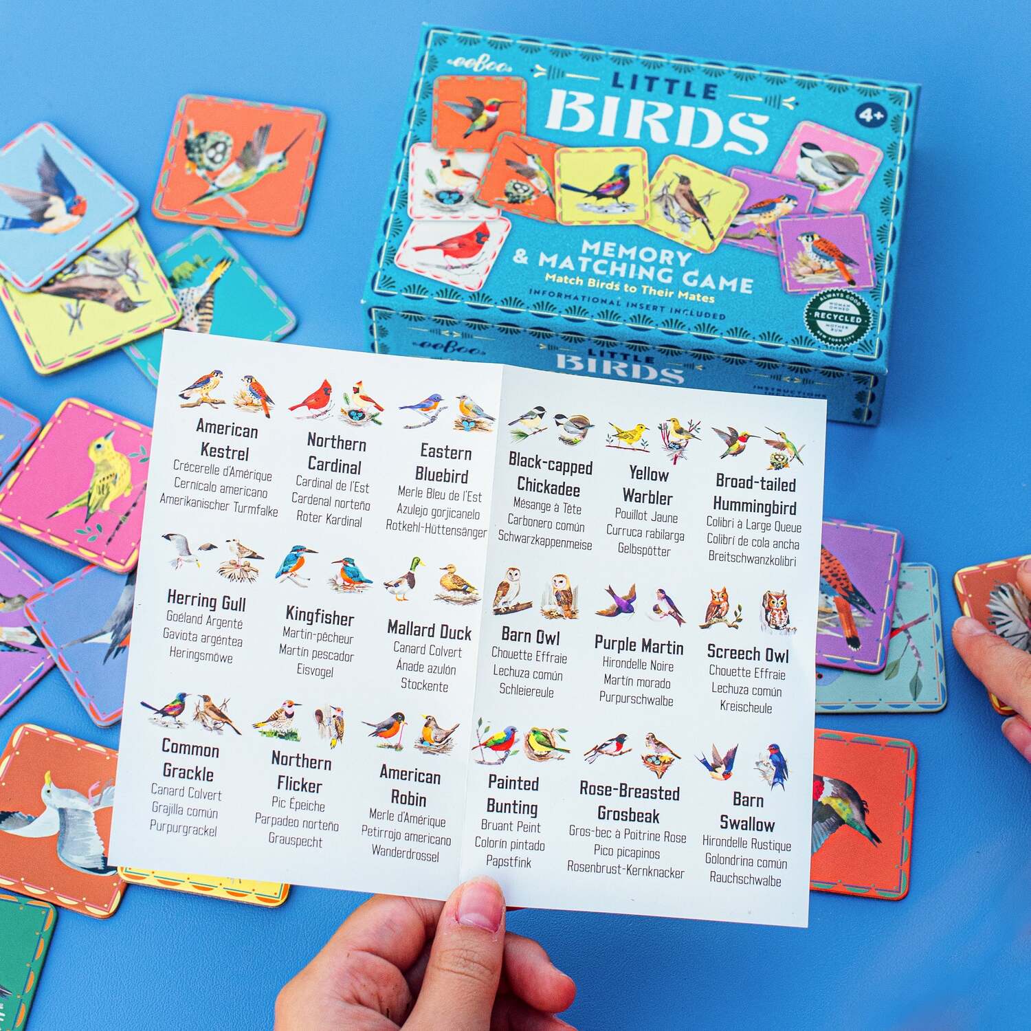 Birds (little memory & matching game)