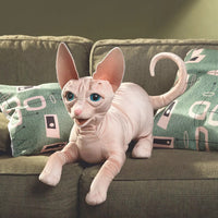 Sphynx Cat Puppet