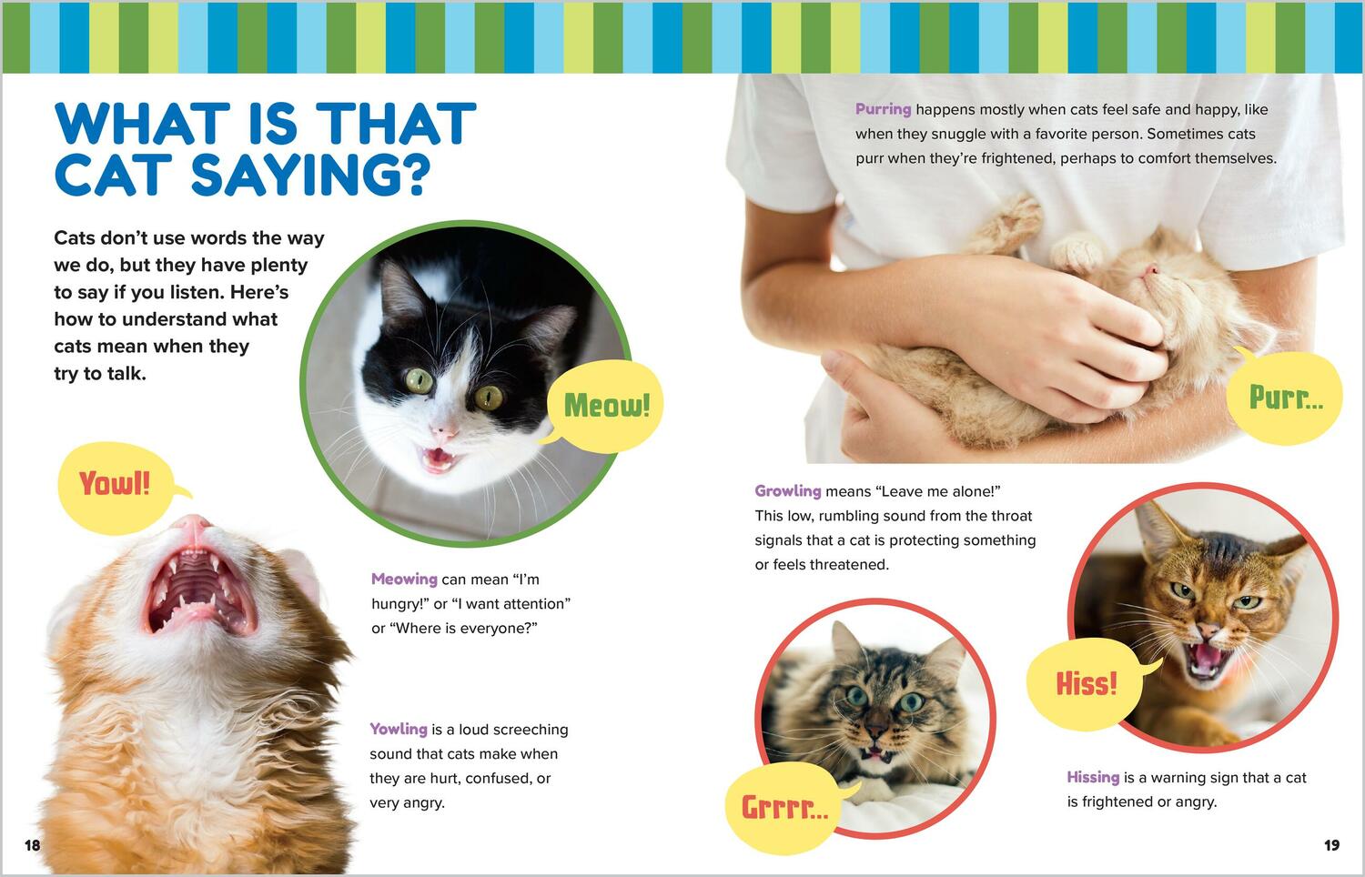 Animal Friends: Hello, Cats!: Meet Cats of All Colors & Breeds; Learn What Cats Love; Discover How to Be Friends!
