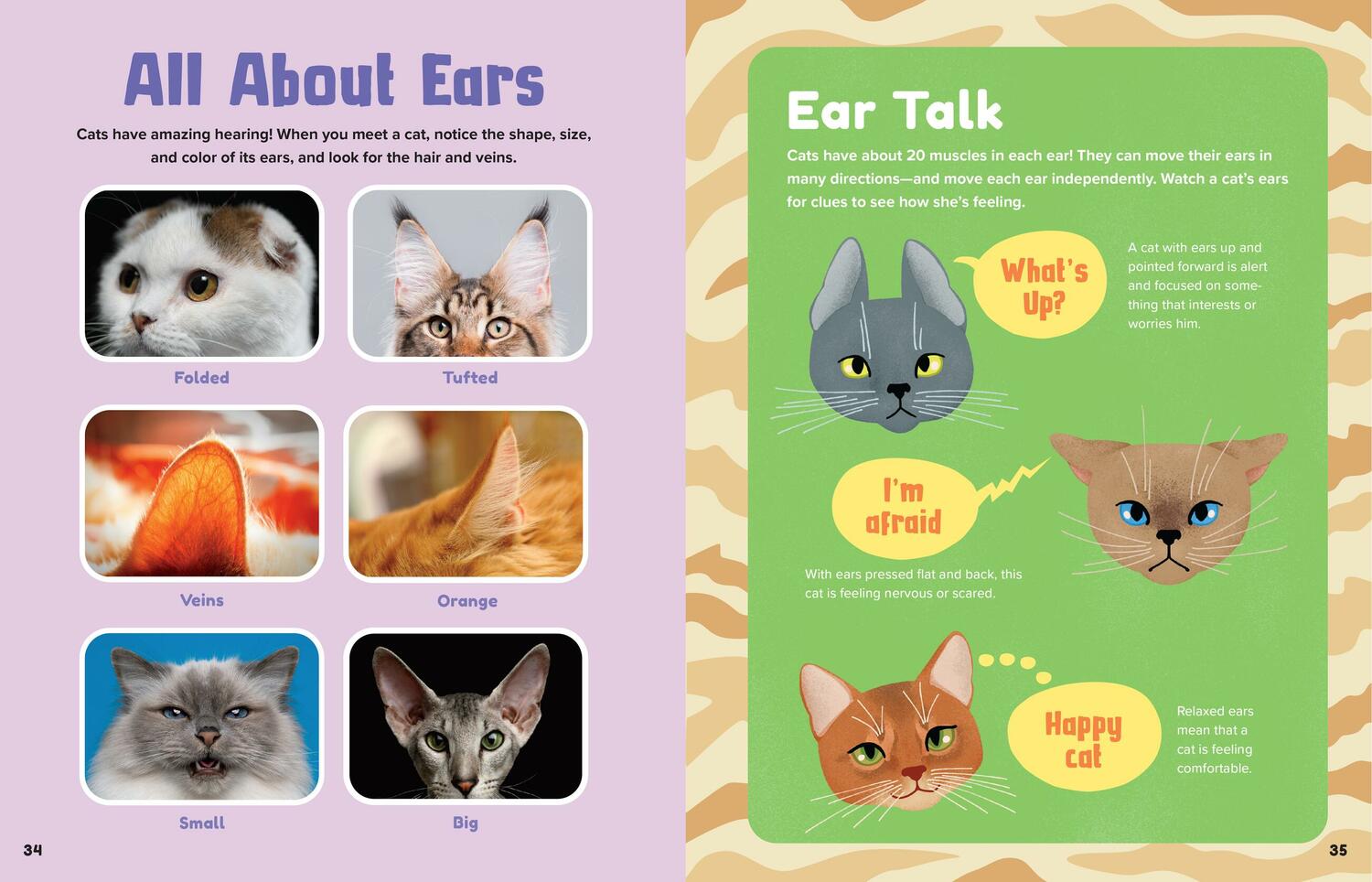 Animal Friends: Hello, Cats!: Meet Cats of All Colors & Breeds; Learn What Cats Love; Discover How to Be Friends!