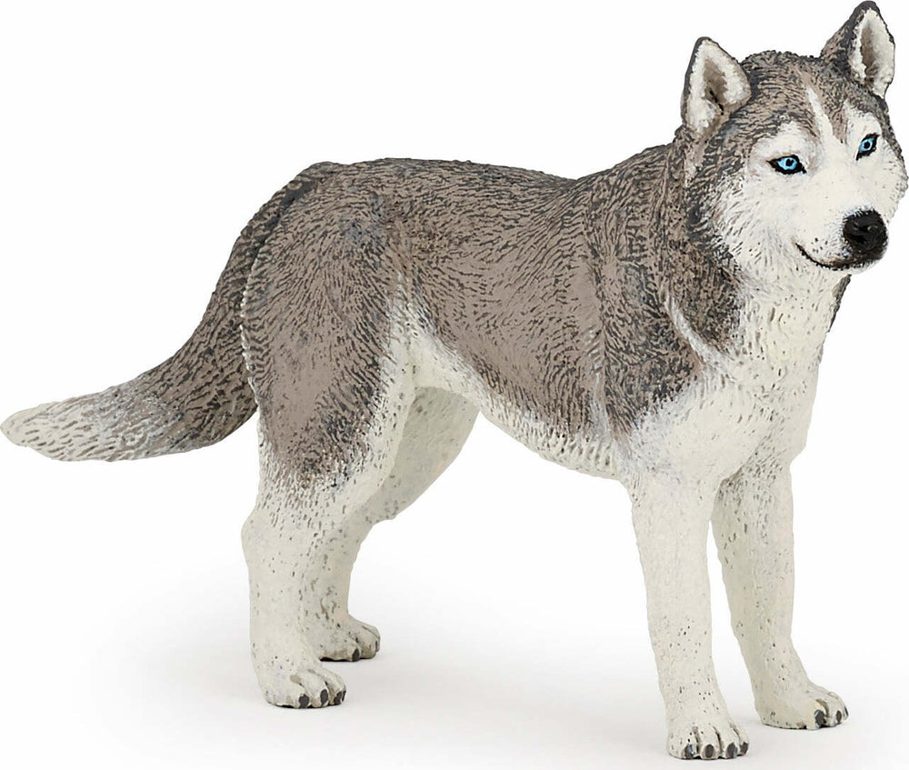 Papo France Siberian Husky