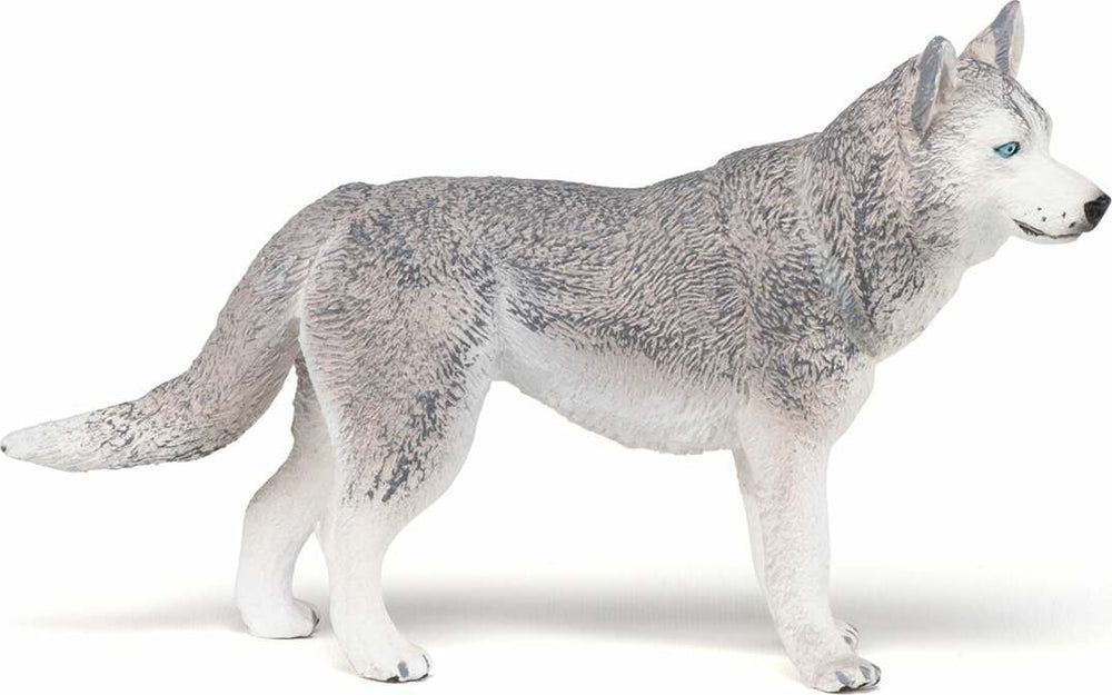 Papo France Siberian Husky