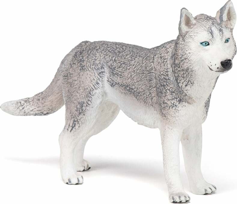 Papo France Siberian Husky