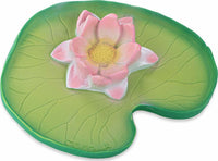 OLI&CAROL Water Lily