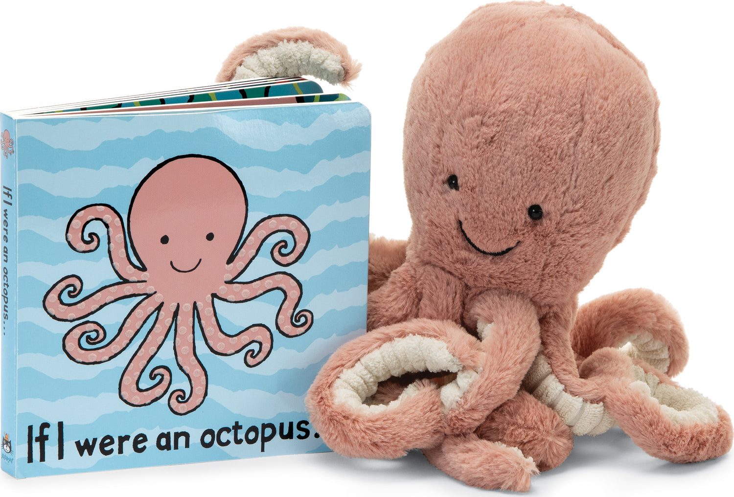 If I were an Octopus Board Book