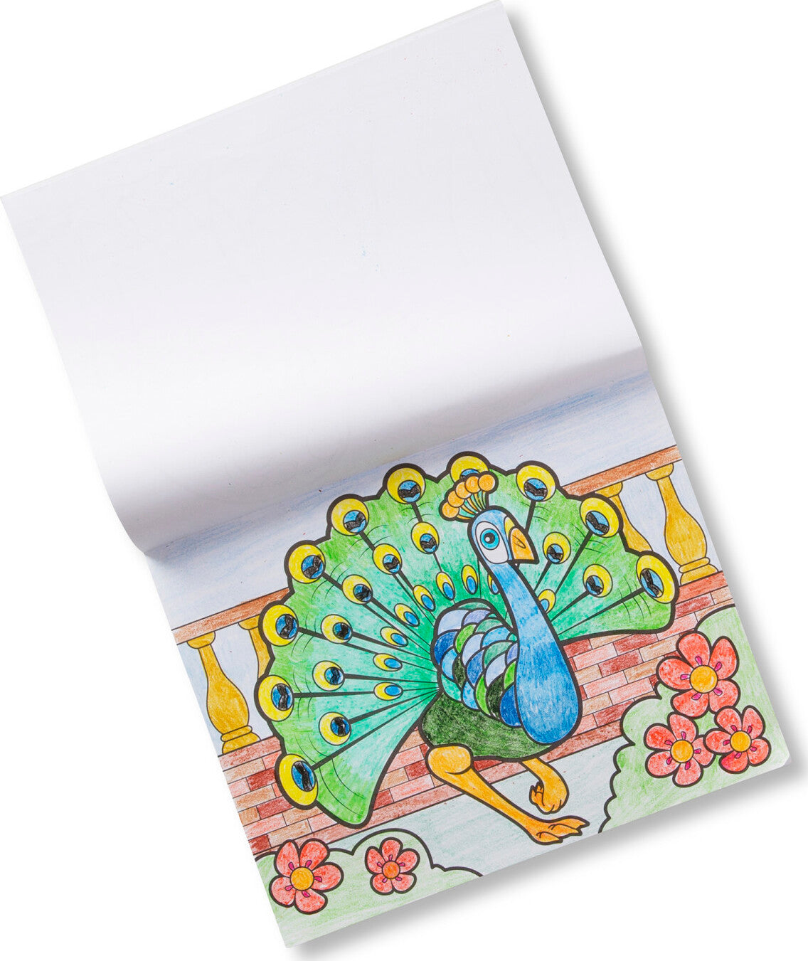 Jumbo Coloring Pad - Animals