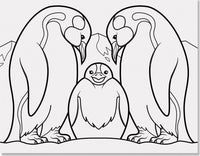 Jumbo Coloring Pad - Animals