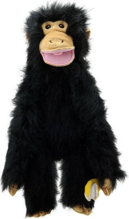 Primates - Chimp (Medium)