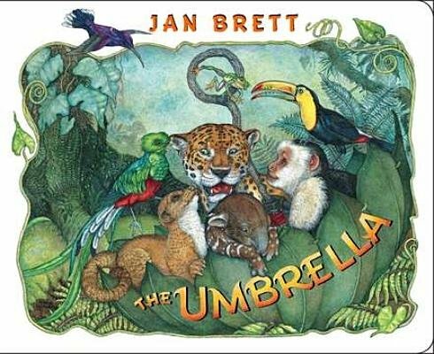 The Umbrella: board book