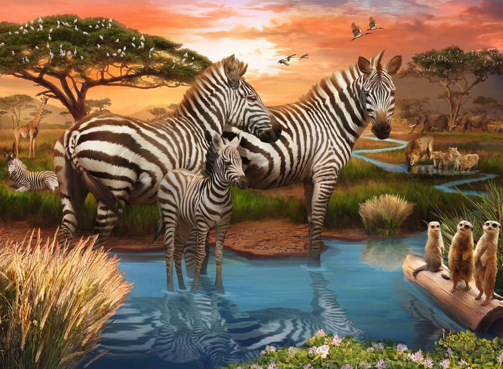 Zebras at the Waterhole (500 Piece Puzzle)