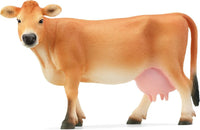 Jersey Cow