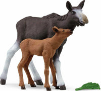 Moose Calf