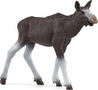 Moose Calf