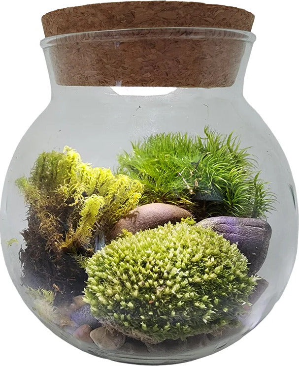 MossBowl