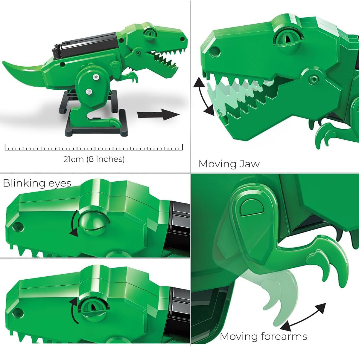 KidzRobotix_Tyrannosaurus_Rex_