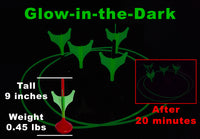 Lawn Darts Glow in the Dark