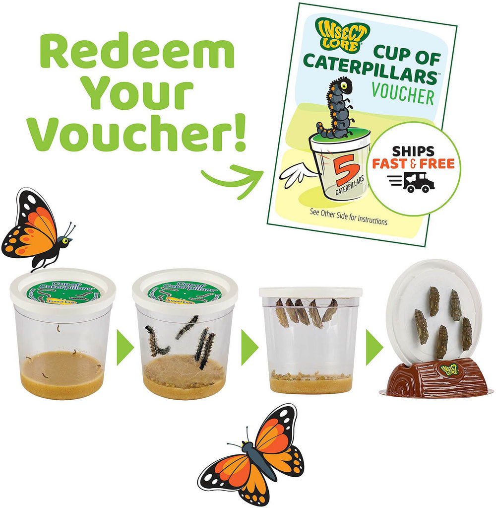 The Original Butterfly Garden Life Cycle Kit: with Prepaid Voucher