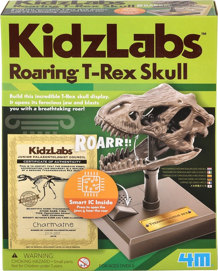 Kidzlabs - Dino Skull