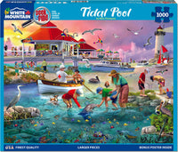 Tidal Pool Seek and Find - 1000 Piece Jigsaw Puzzle