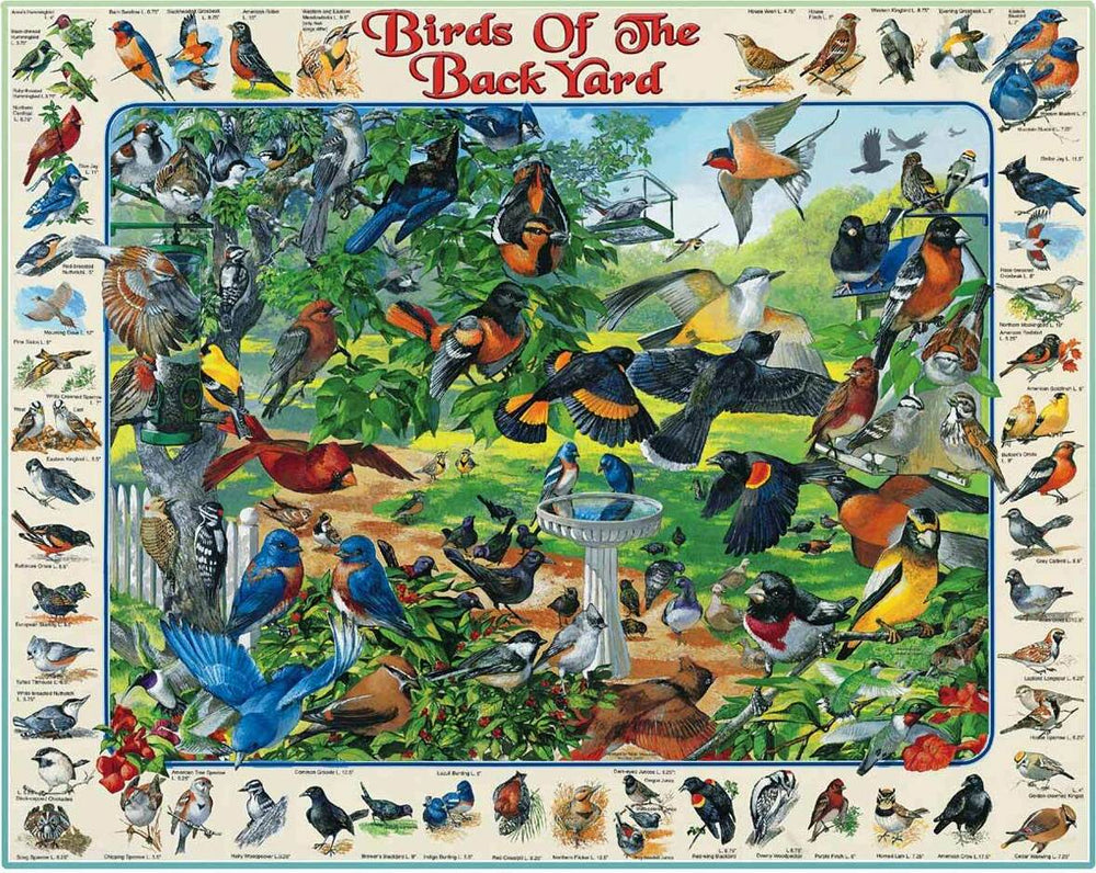 Birds of the Back Yard - 1000 Piece - White Mountain Puzzles