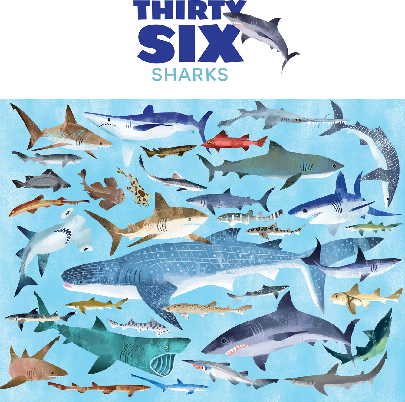 100-pc 36 Puzzle - Sharks