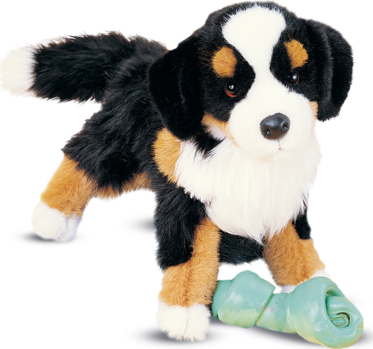 Trevor Bernese Mountain Dog