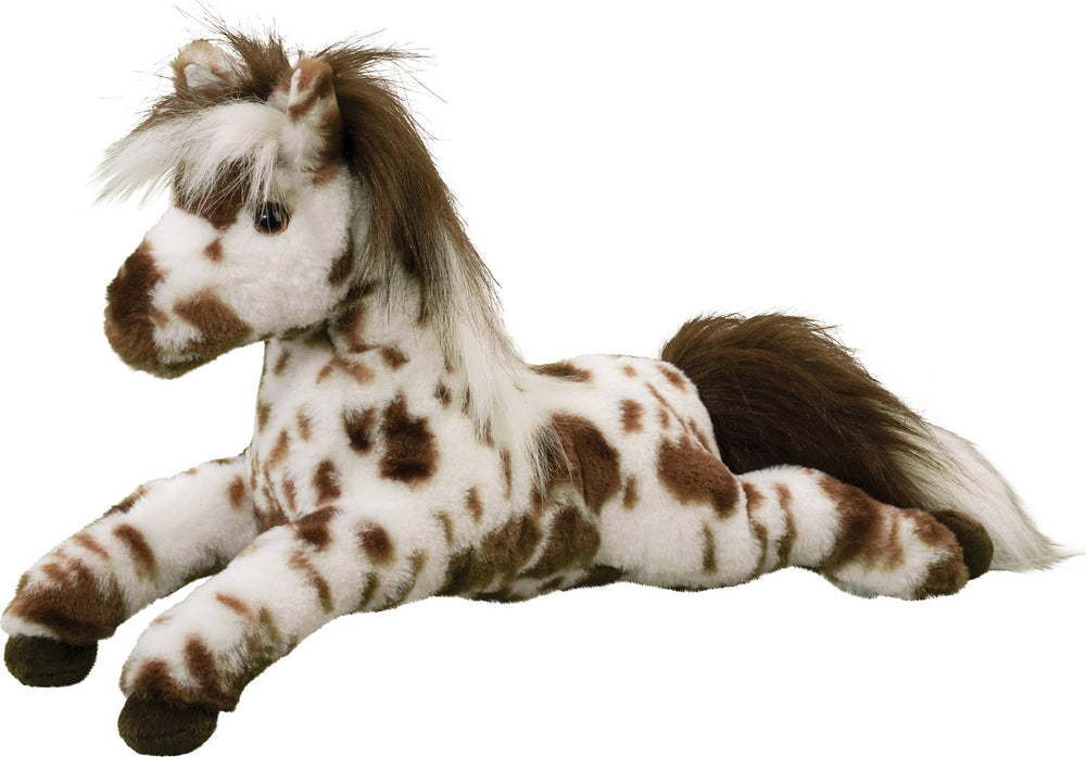 Duke Appaloosa Horse