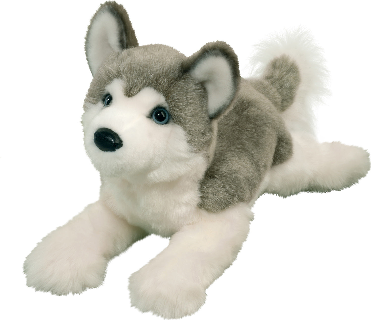 Geno Husky