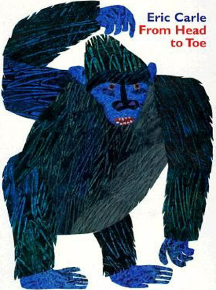 From Head to Toe Board Book