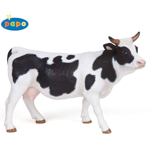 Piebald Cow