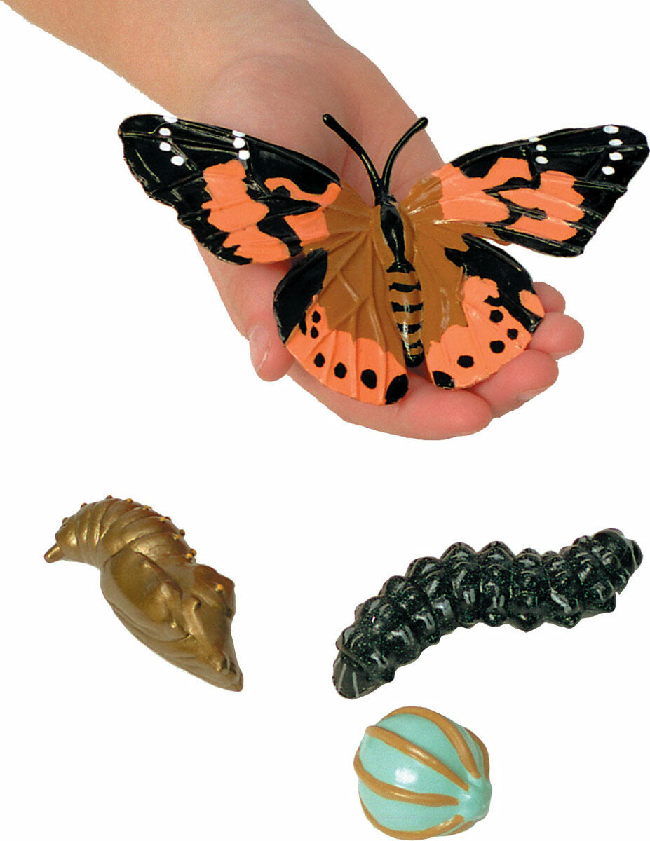 Giant Butterfly Garden with Life Cycle Figurines